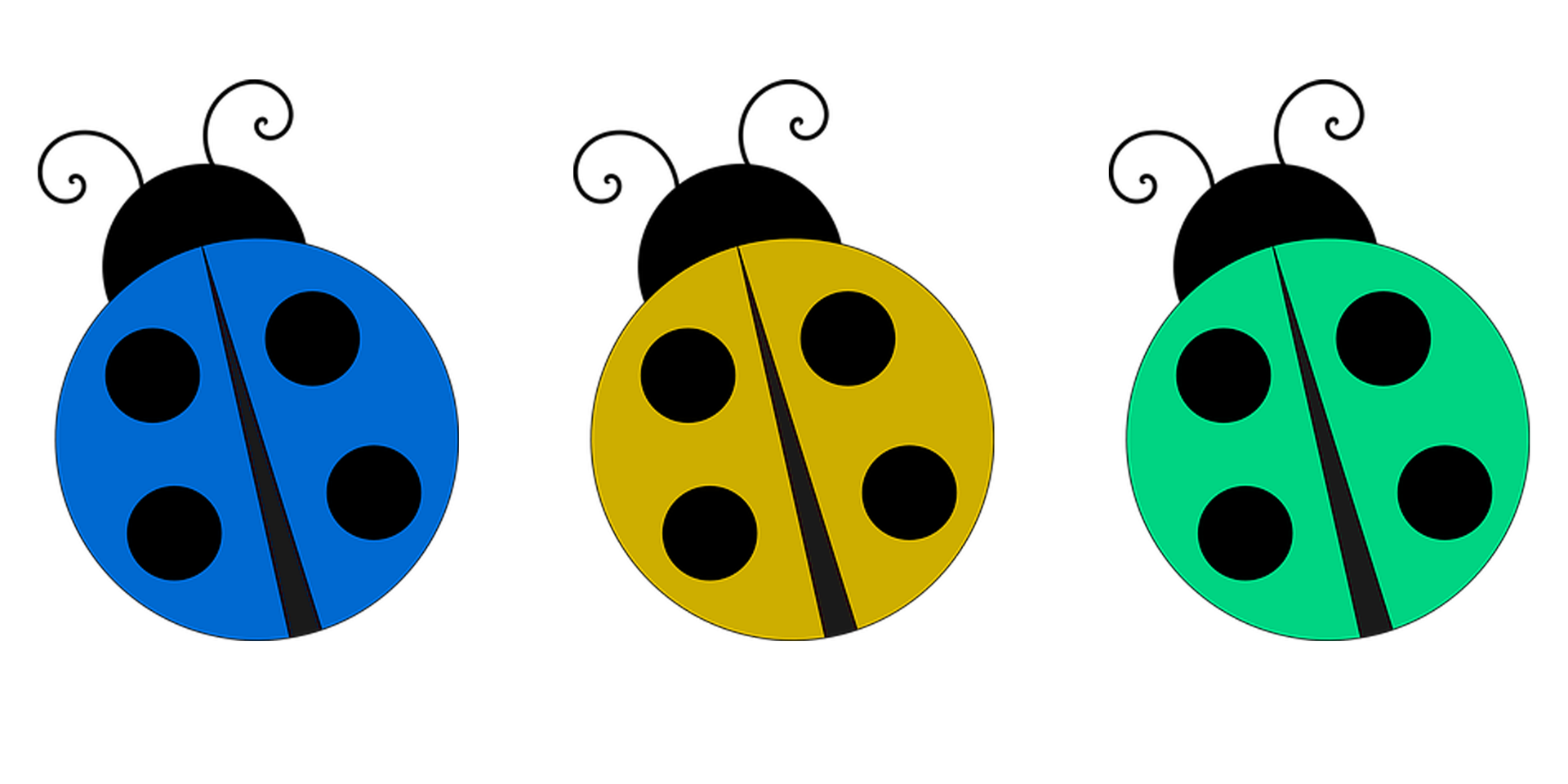 Festival zéro waste MARSEILLE 2021